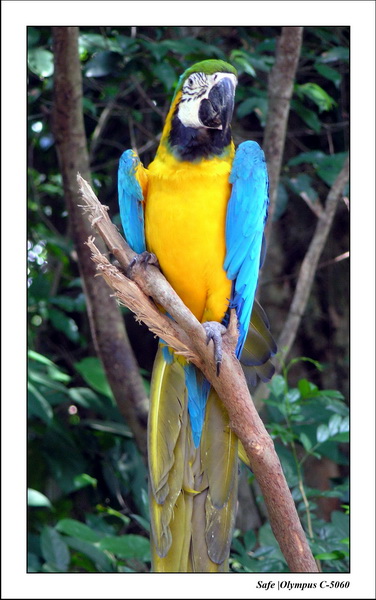 2005 - 06 - Zoo 001.JPG